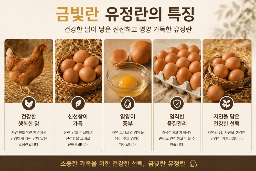 bc1162a2bd7ea9ae958e53feba7b6dd8_1776756759_1532.png